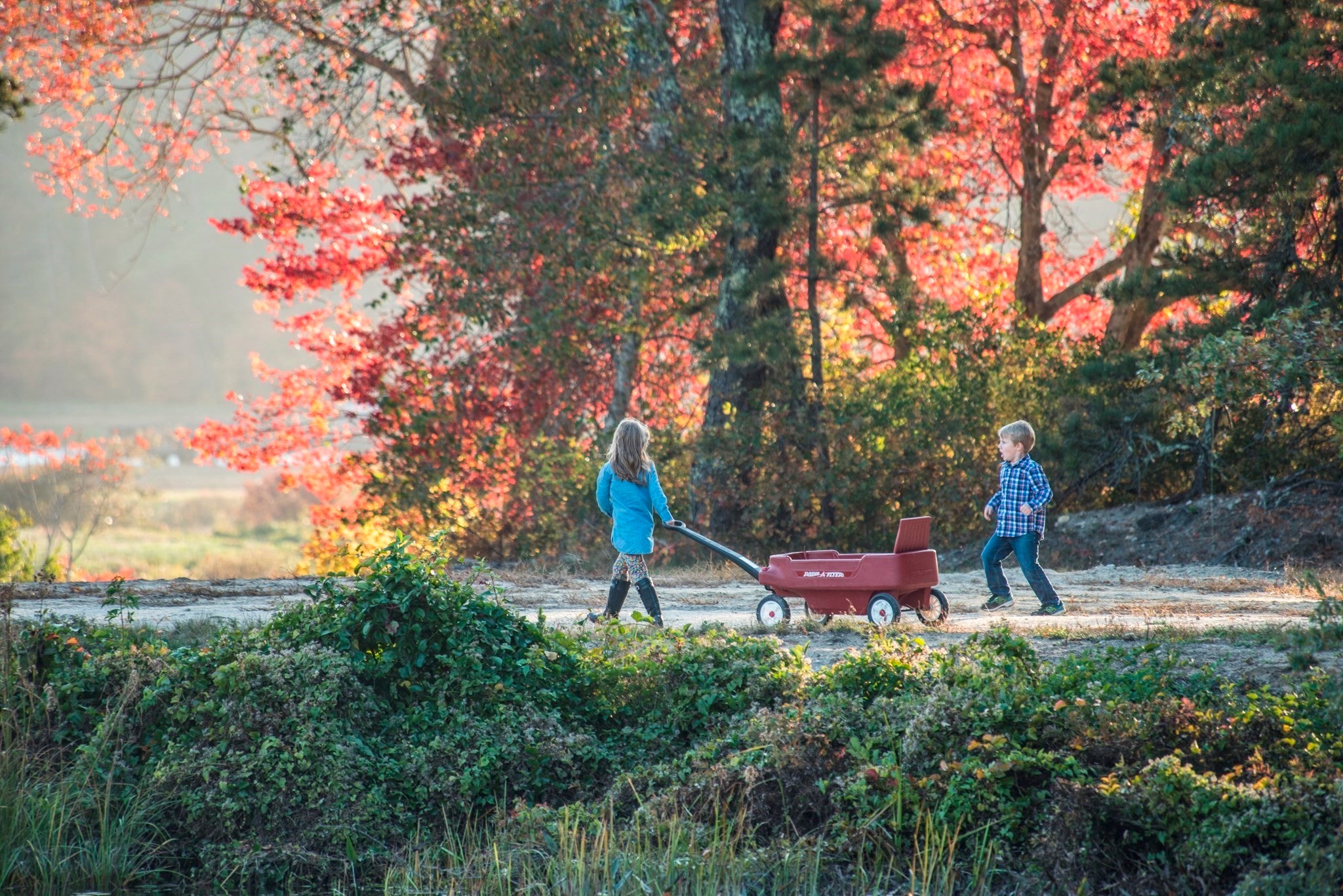 15 Rosebay Ln #15, Plymouth, MA Photo #29