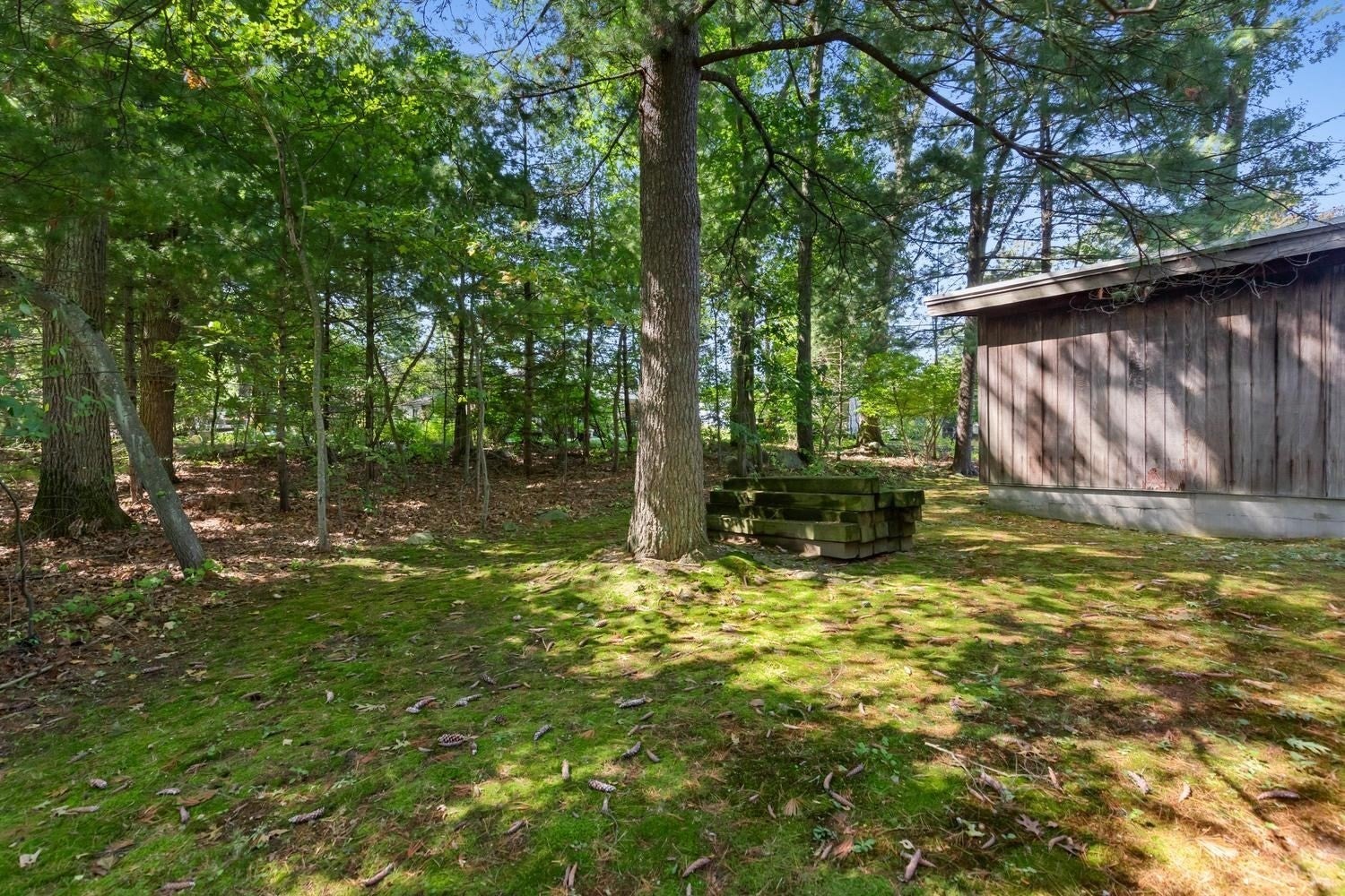 1748 Trapelo Rd, Waltham, MA Photo #8