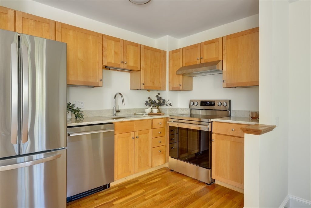 411 Norfolk Street #2-A, Somerville, MA, 411 Norfolk Street #2-A, Somerville, MA Photo #4
