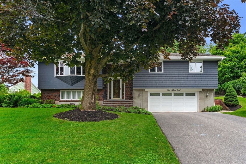5 Willson Road