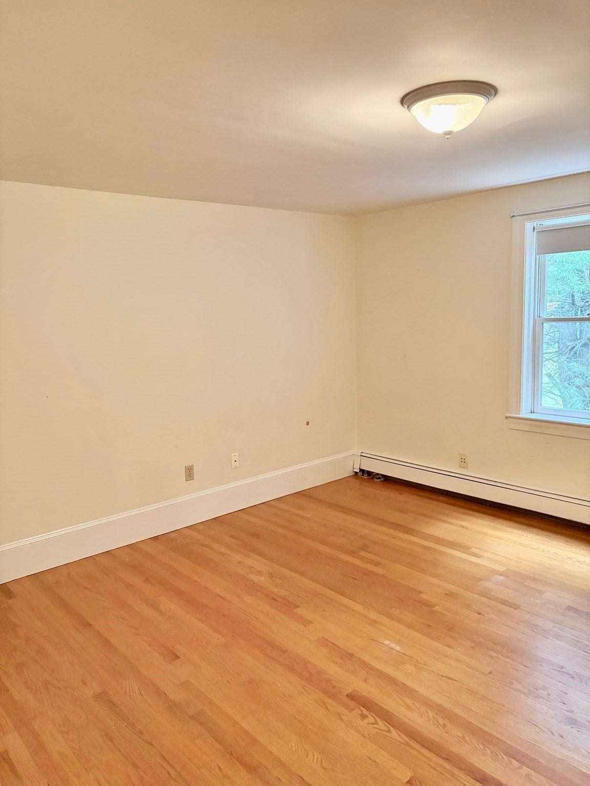 582 Massachusetts Avenue Front, Lexington, MA, 582 Massachusetts Avenue Front, Lexington, MA Photo #11