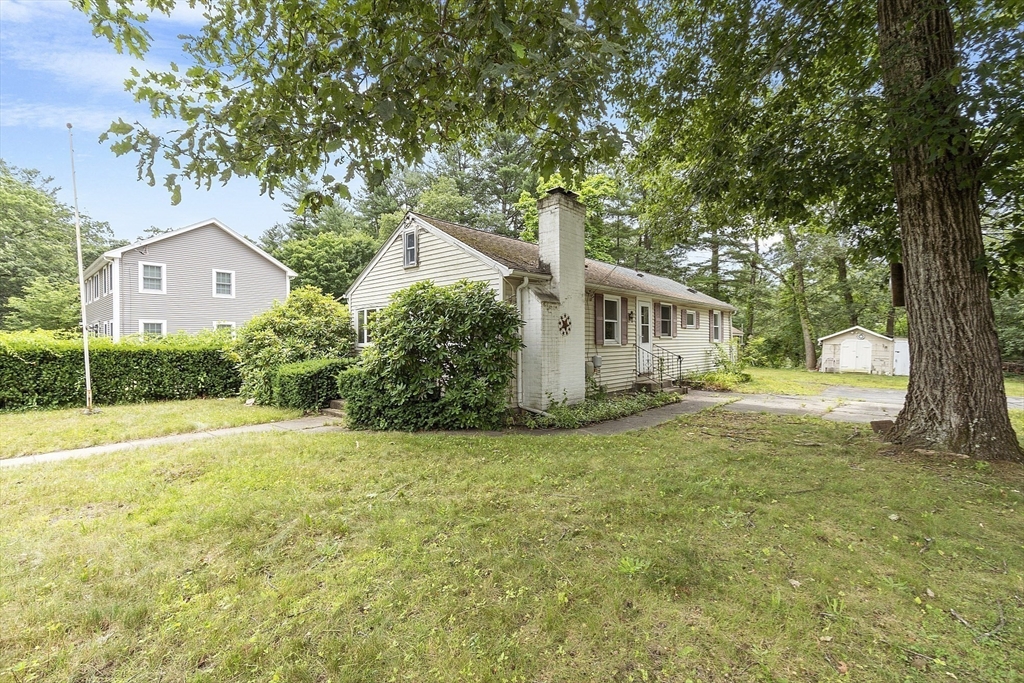 31 Birch Road