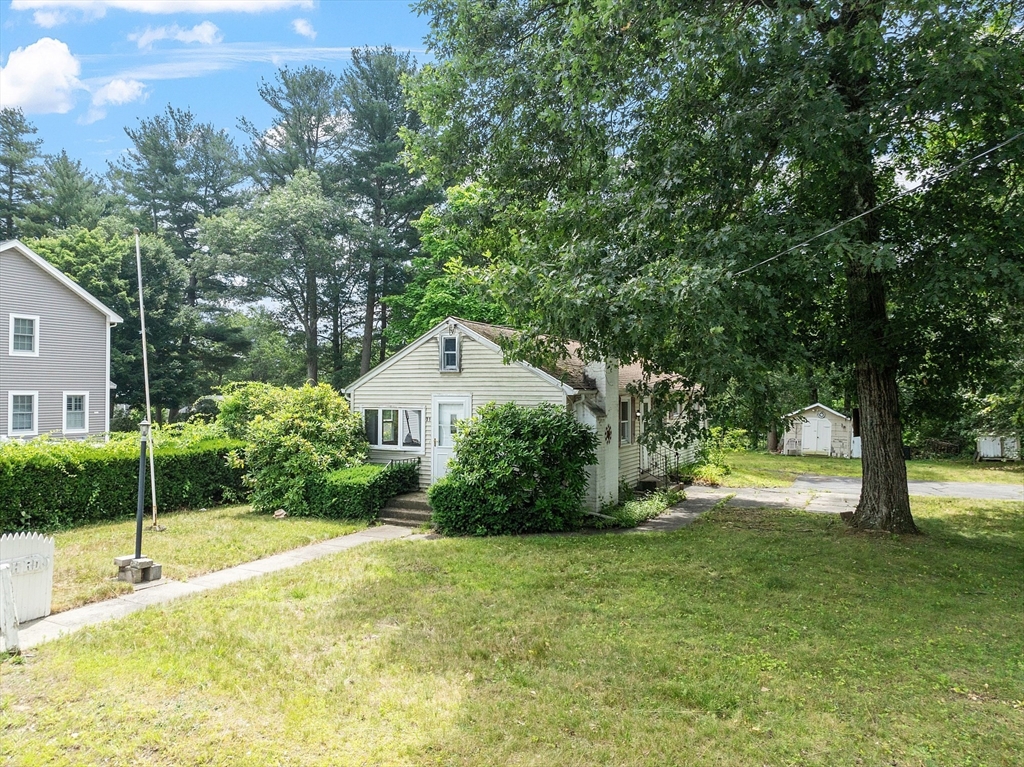31 Birch Road