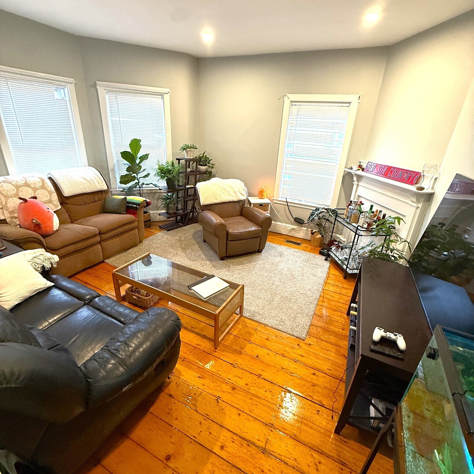 41 Ardell St B