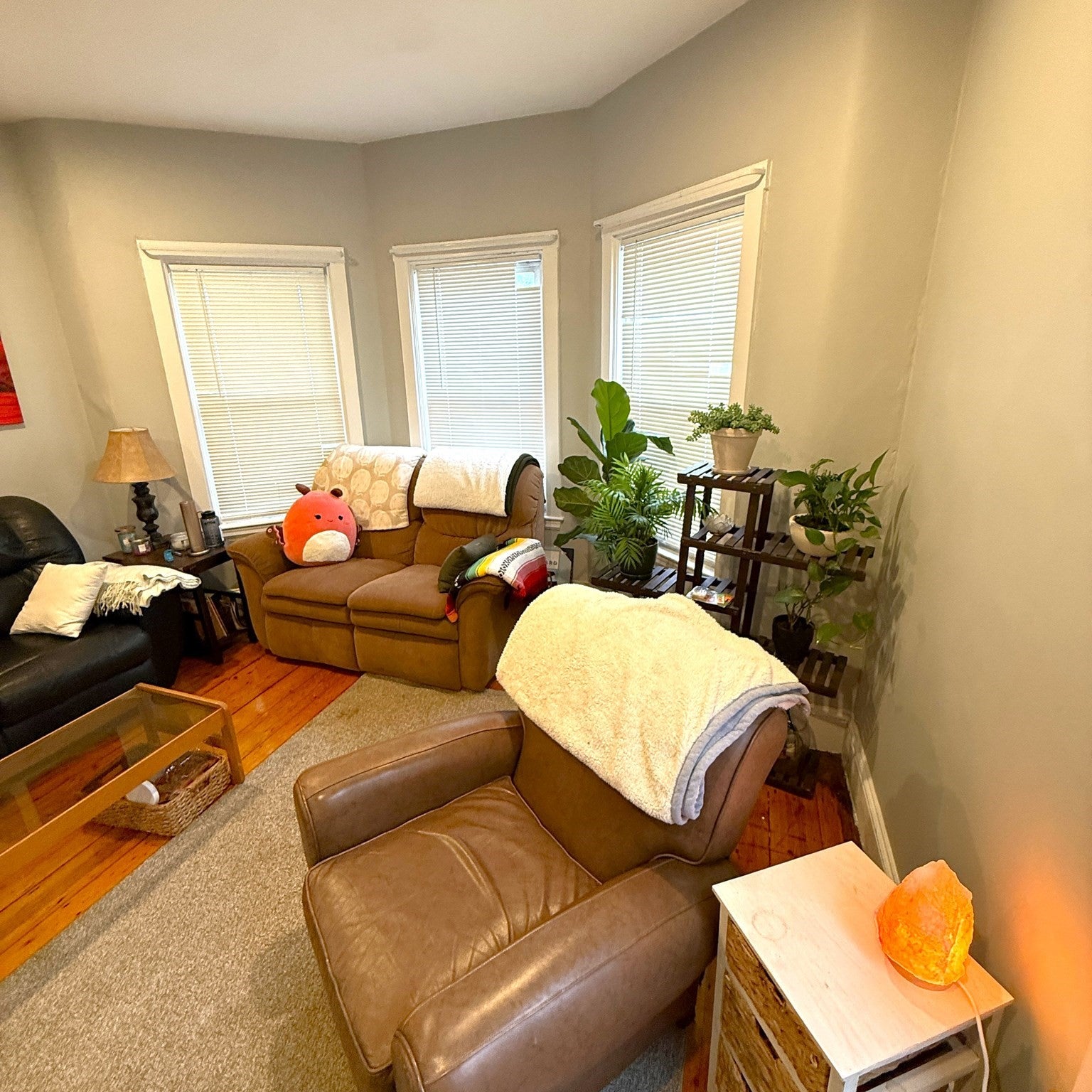 41 Ardell St B