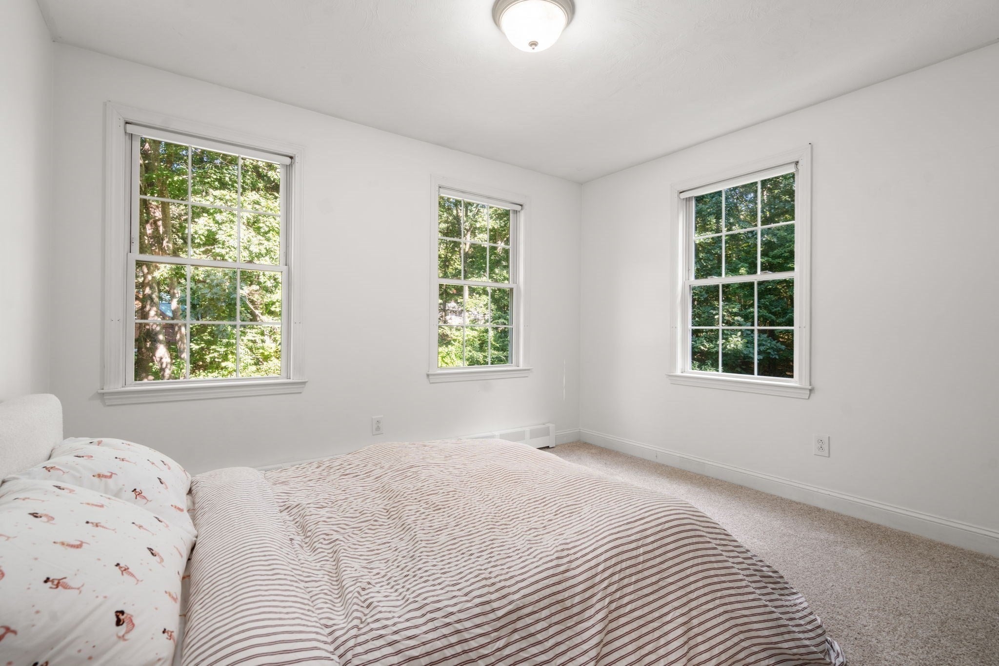 53 E Baylies Road, Charlton, MA, 53 E Baylies Road, Charlton, MA Photo #28