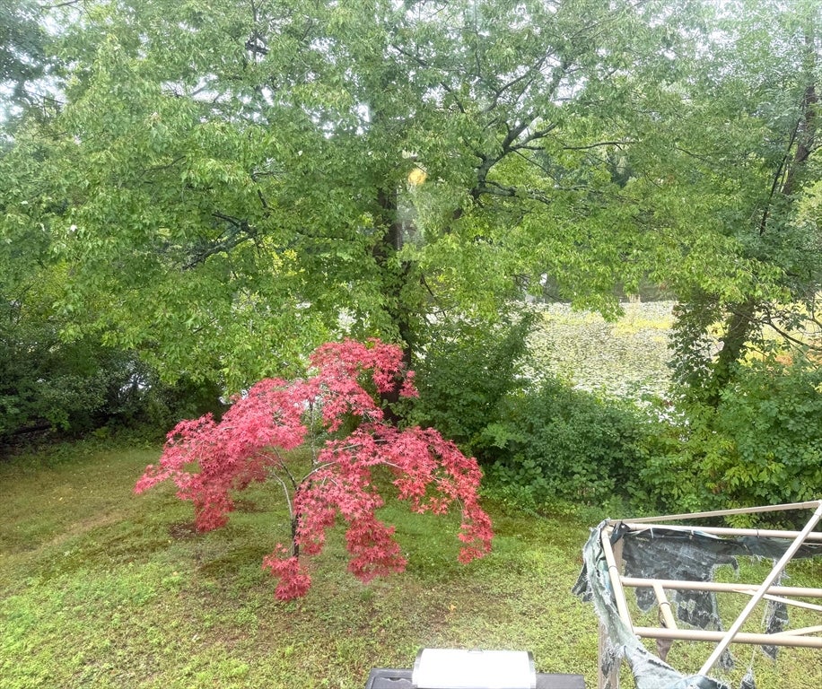 35 Townsend Terrace, Framingham, MA, 35 Townsend Terrace, Framingham, MA Photo #6
