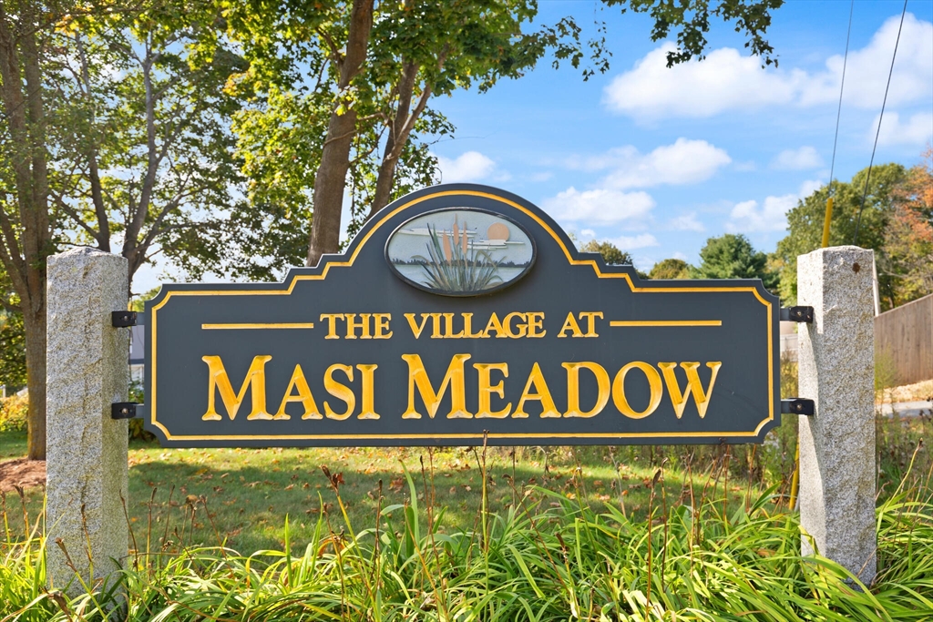6 Masi Meadow B
