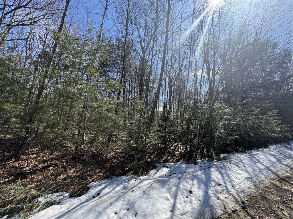 Lot 7 Skyline Ridge Rd.