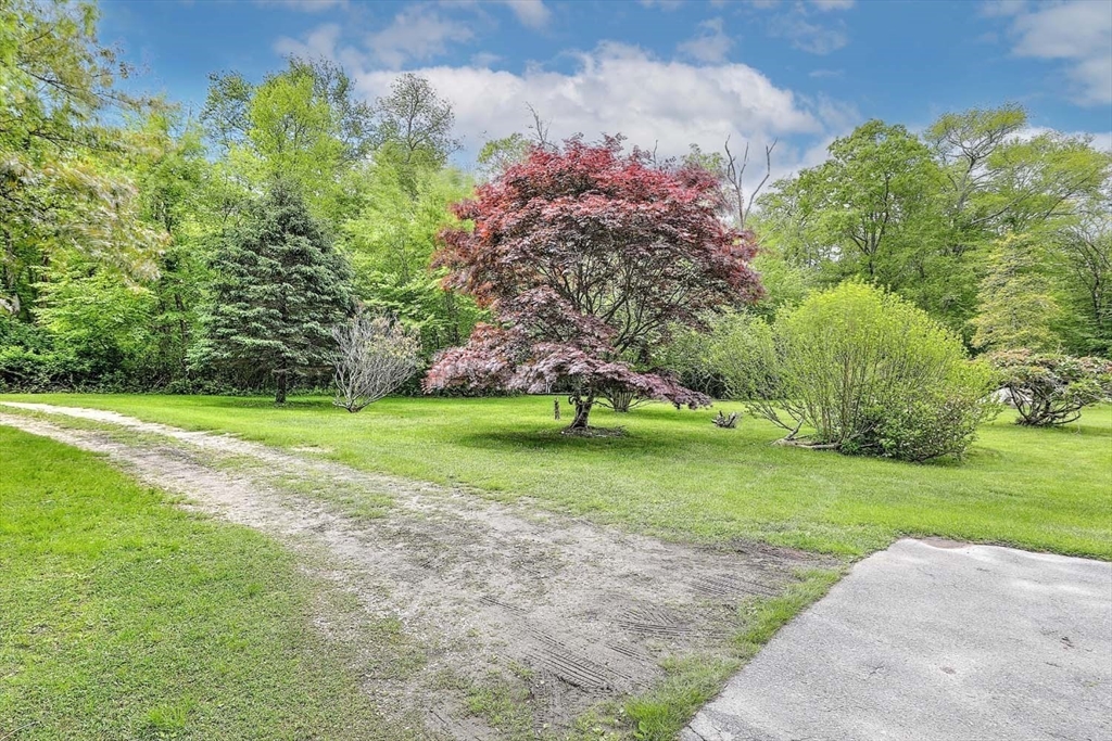1175 Main Road