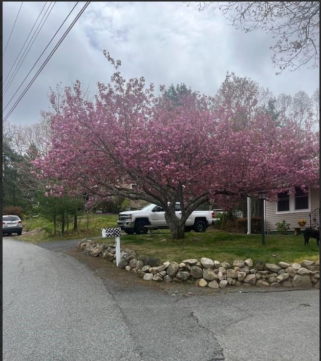 47 Cliff Rd