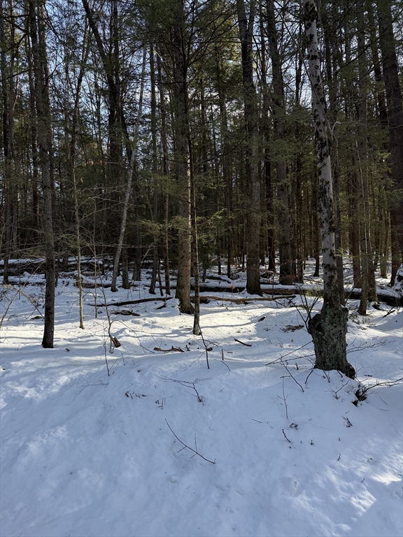 0 Four Mile Brook Rd