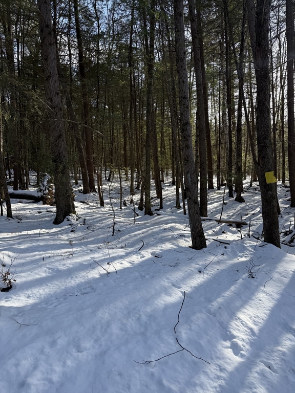 0 Four Mile Brook Rd