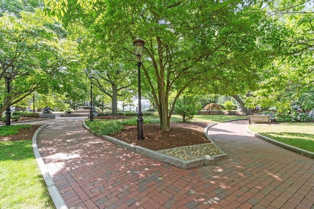 21 Harvard Street #1, Boston, MA, 21 Harvard Street #1, Boston, MA Photo #18