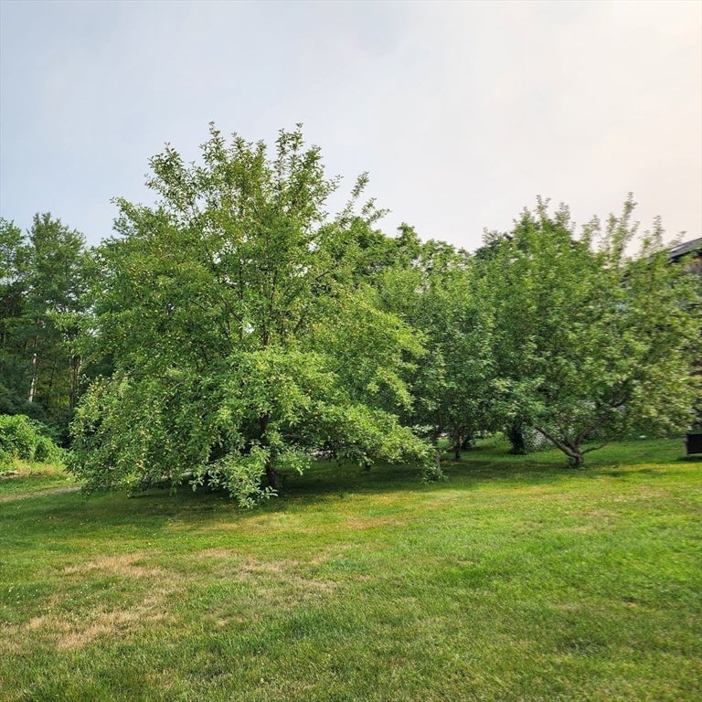 401 N Washington St, Belchertown, MA, 401 N Washington St, Belchertown, MA Photo #29