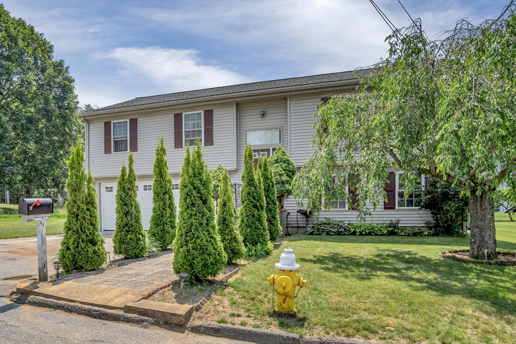 293 Wildwood Ave