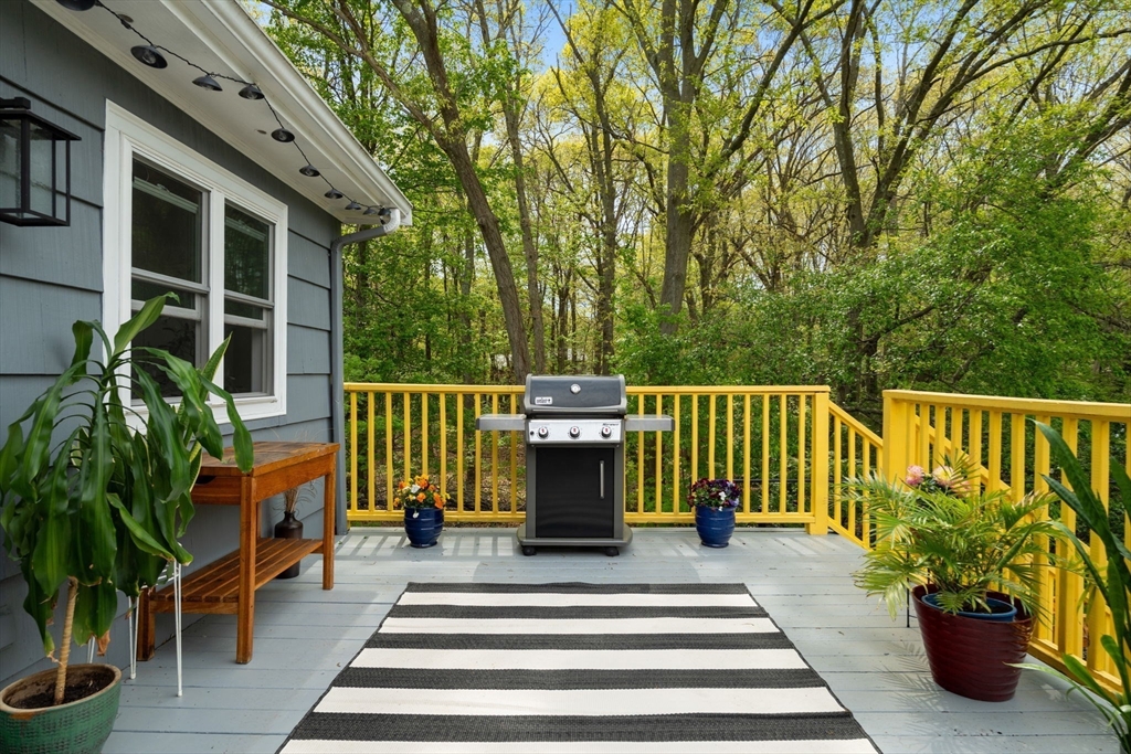 59 Amor Rd, Milton, MA Photo #26