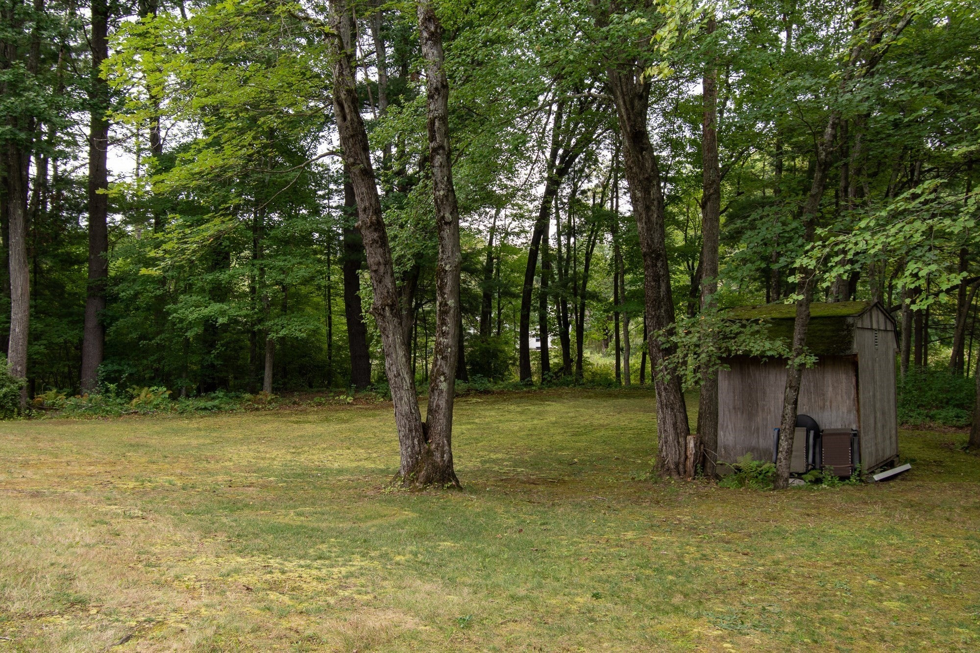 16 Crabapple Ln, Chelmsford, MA, 16 Crabapple Ln, Chelmsford, MA Photo #24