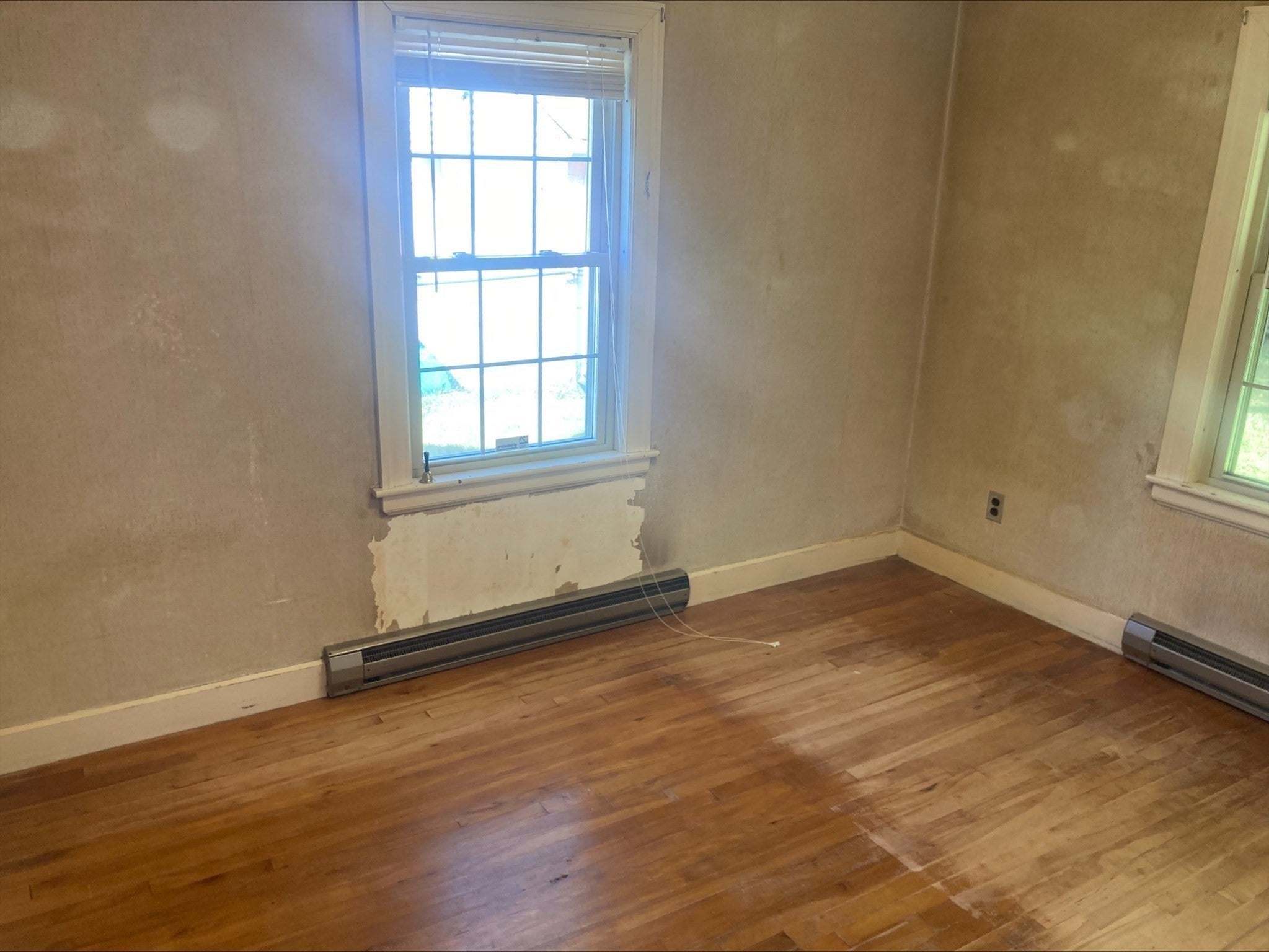 17 Clive St, Worcester, MA, 17 Clive St, Worcester, MA Photo #18