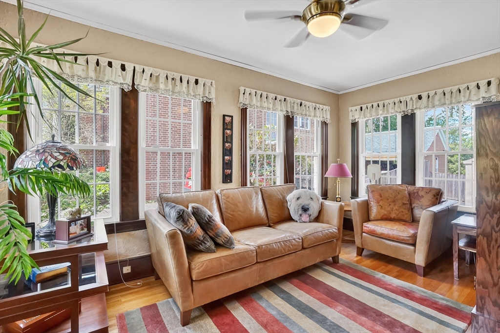 146 Bellevue Ave, Springfield, MA Photo #11