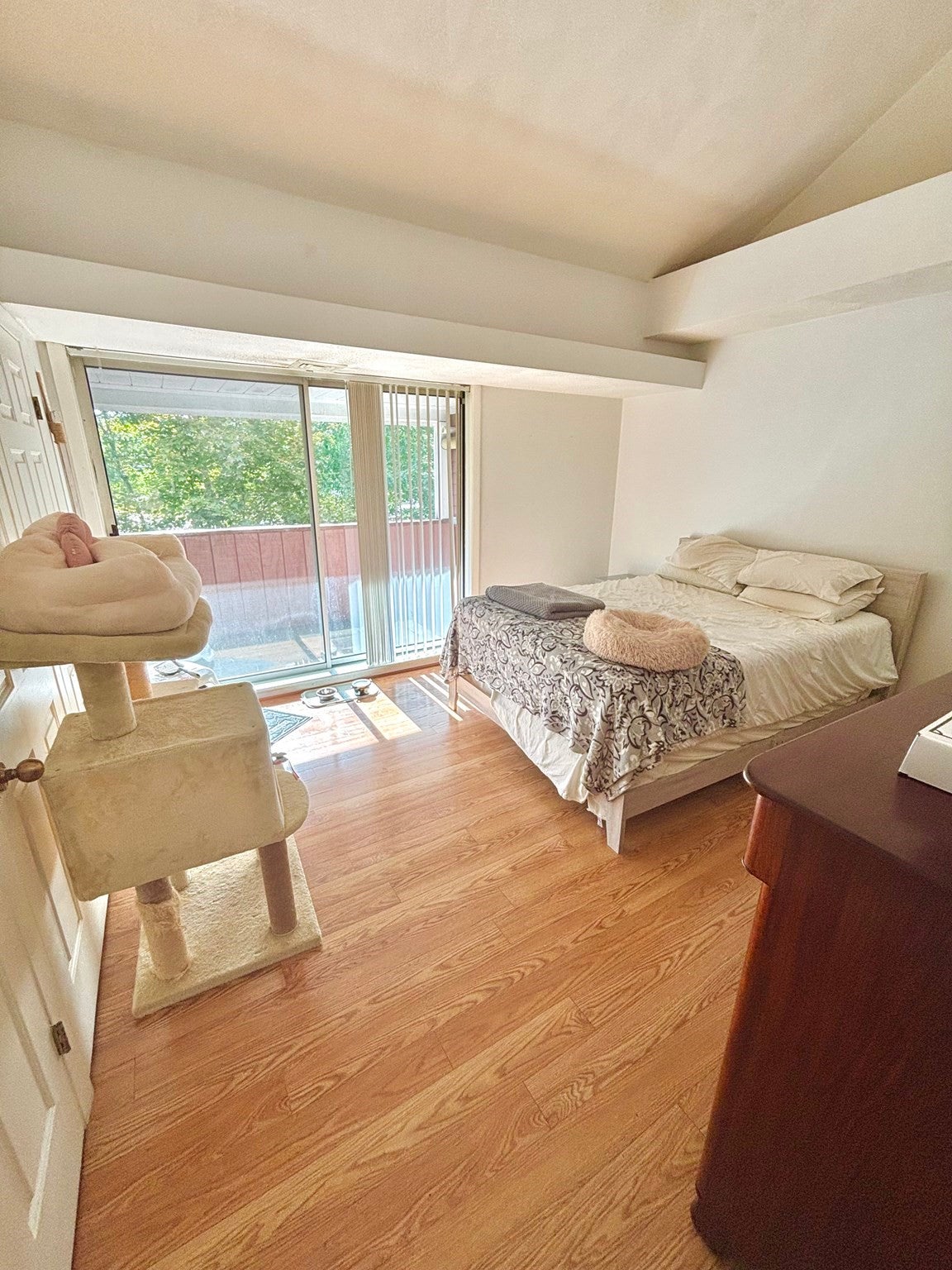 1010 Middle ST #11, Weymouth, MA, 1010 Middle ST #11, Weymouth, MA Photo #6