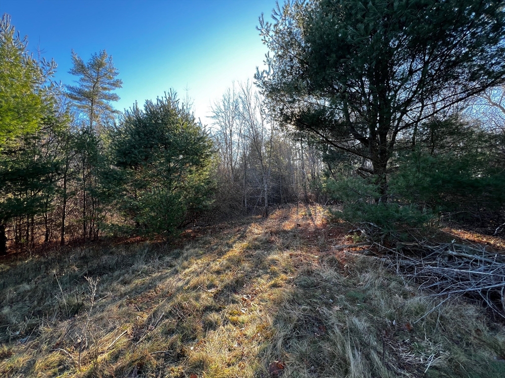 480 Wareham St - Rte 28