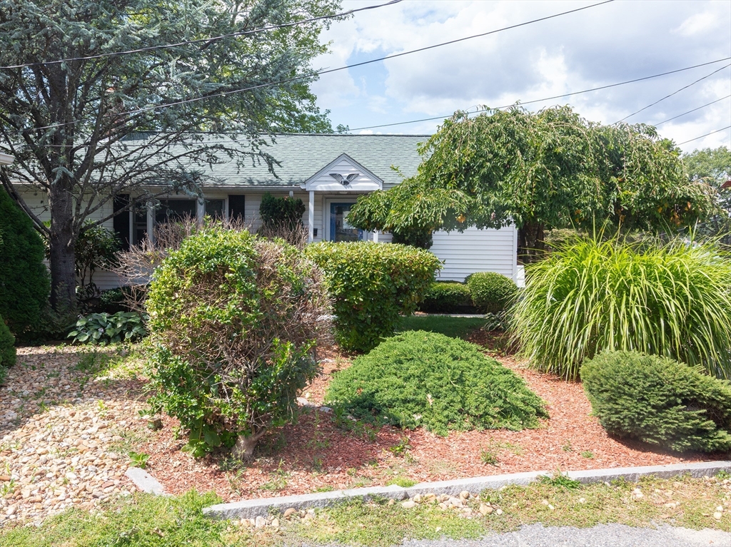 23 Canna Dr