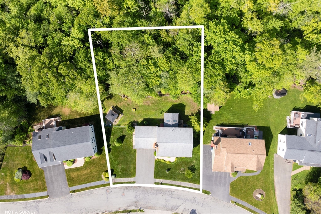 11 Beechtree Cir