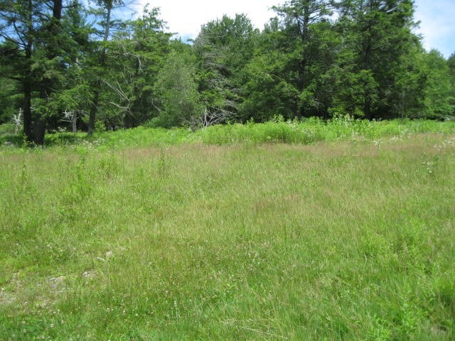 73 Ingell Rd