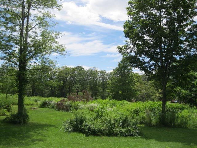 73 Ingell Rd