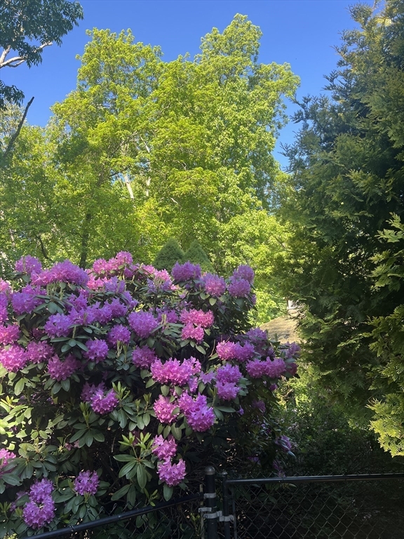 Upton, Massachusetts 01568, United States, 4 Bedrooms Bedrooms, ,3 BathroomsBathrooms,Residential,Active,37198