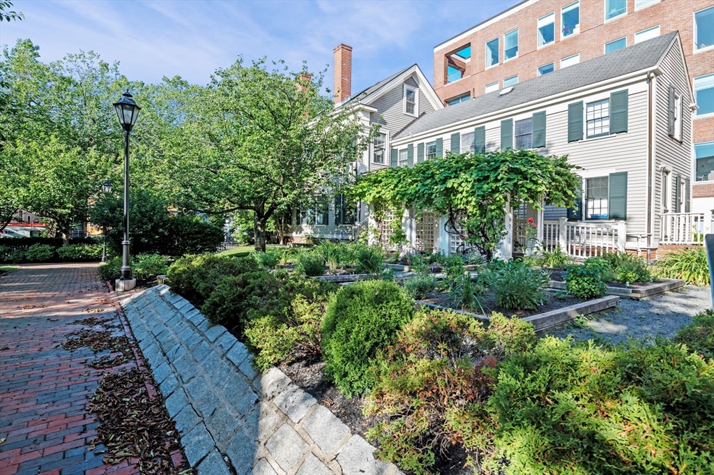 130 Mount Auburn Street 204
