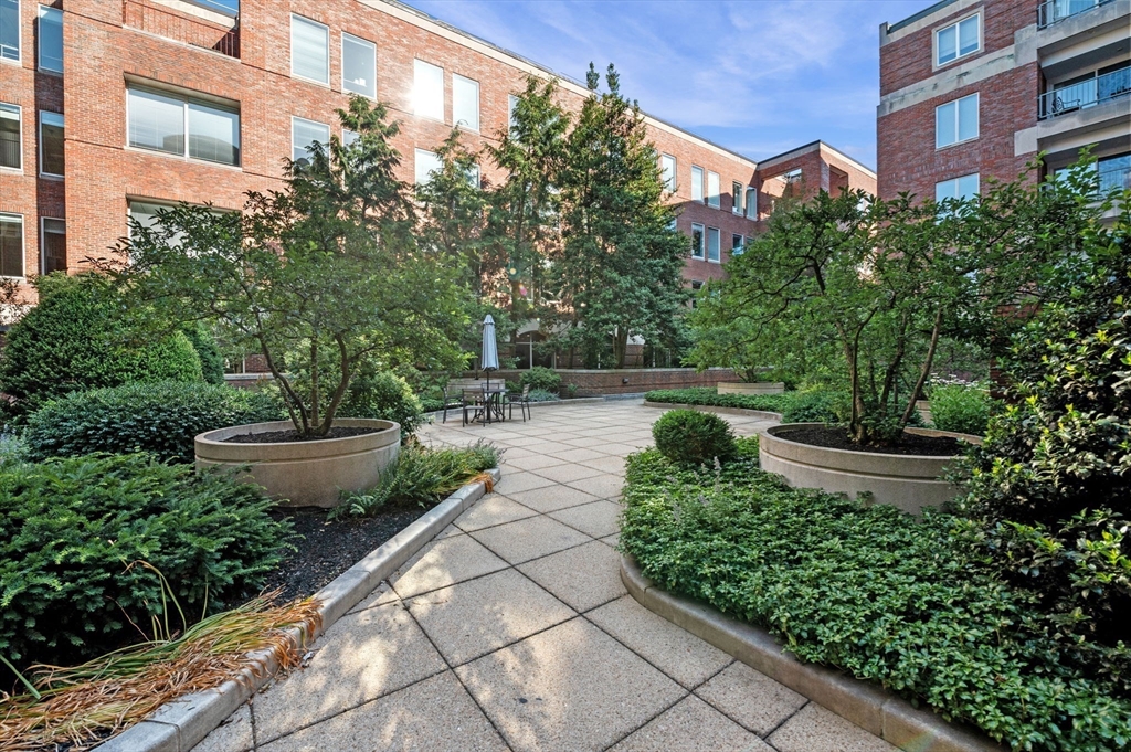 130 Mount Auburn Street 204