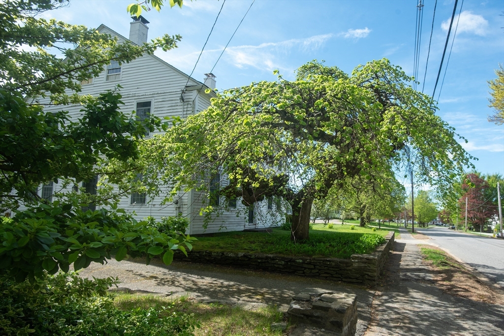82 Petersham Rd