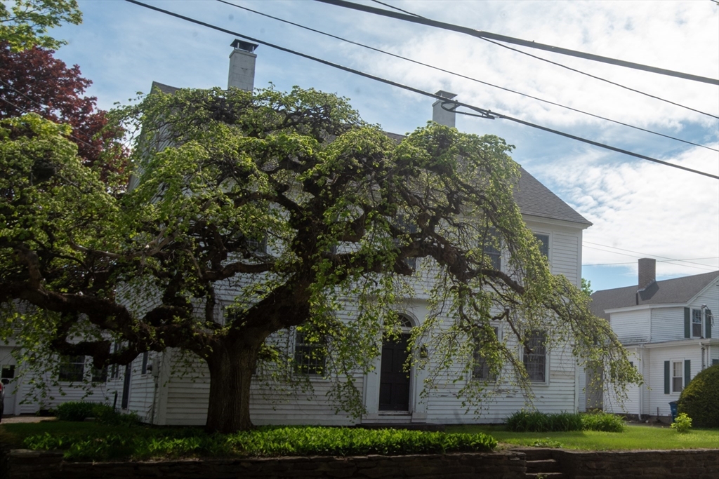 82 Petersham Rd