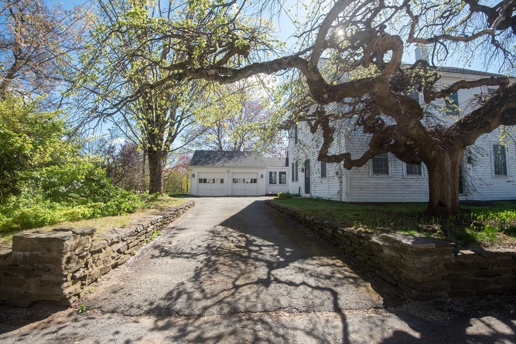 82 Petersham Rd