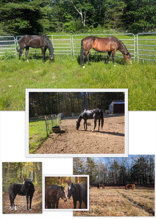 41 Bear Mountain Road