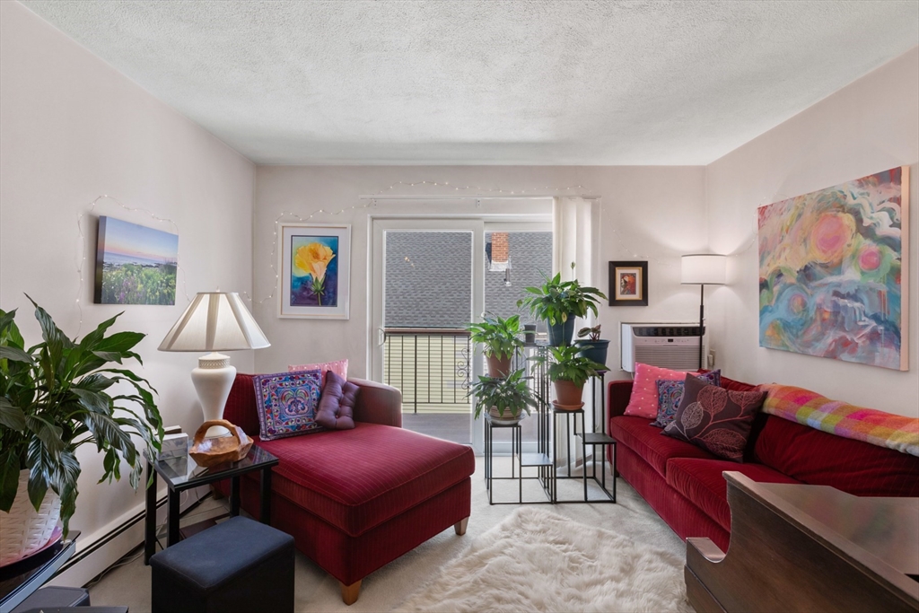 74 Springvale Ave 18