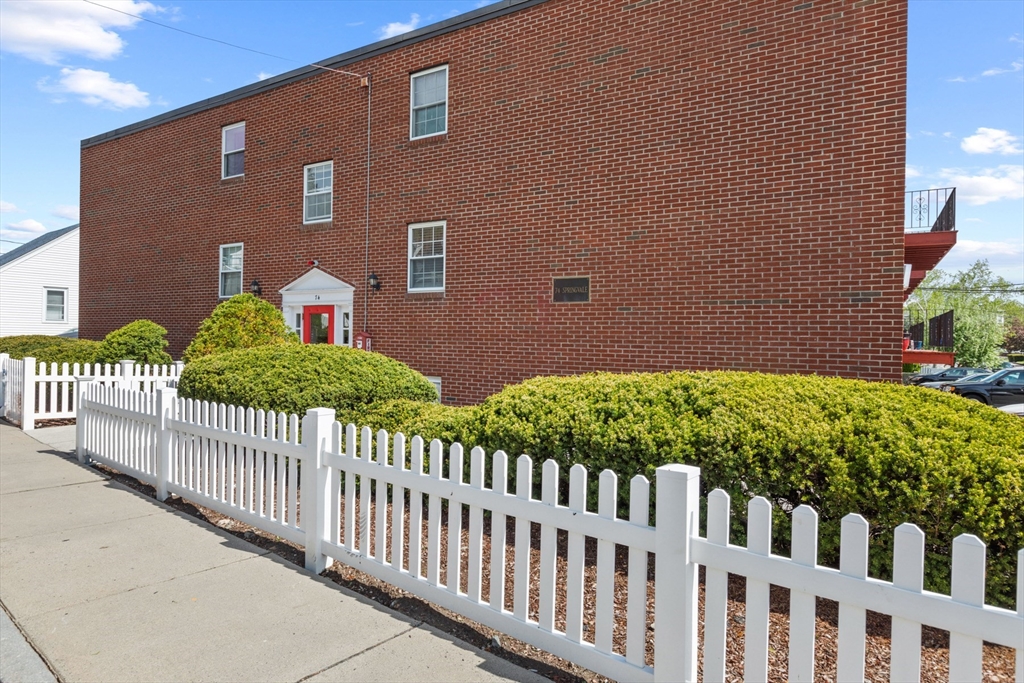 74 Springvale Ave 18