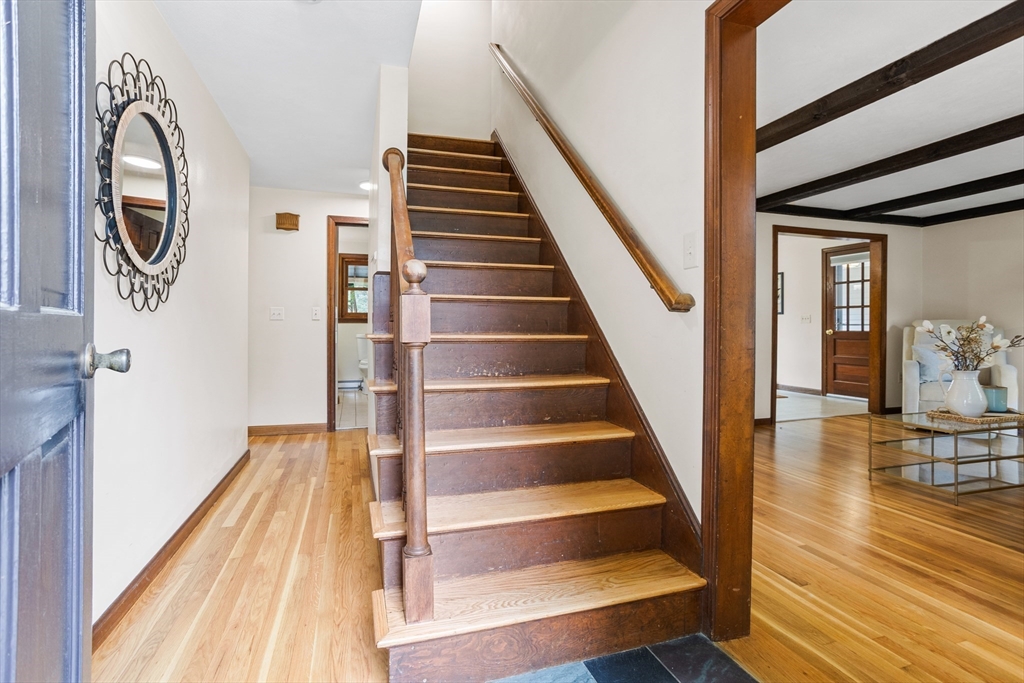 52 Diana Dr