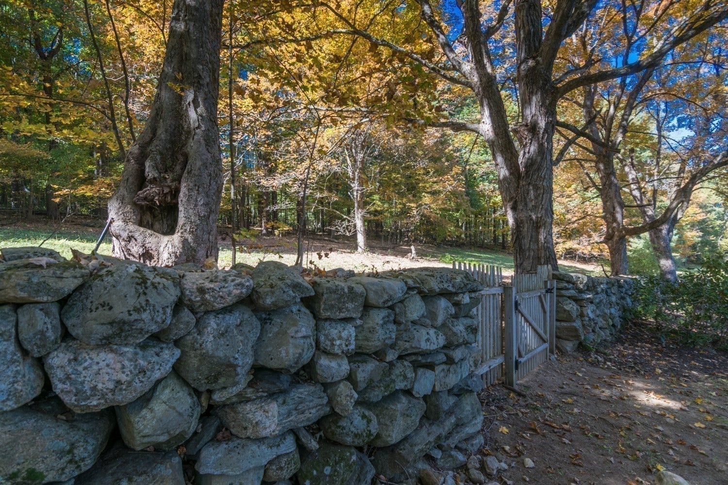 49 Enfield Rd, Pelham, MA, 49 Enfield Rd, Pelham, MA Photo #38