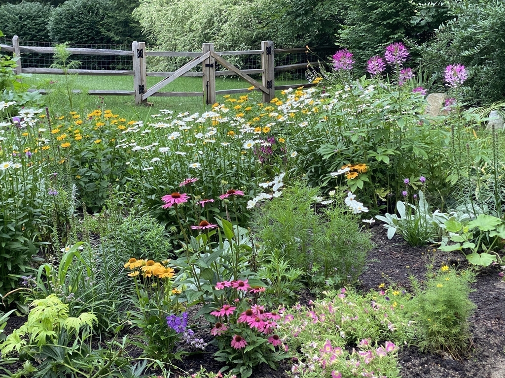 Norfolk, Massachusetts 02056, United States, 4 Bedrooms Bedrooms, ,3 BathroomsBathrooms,Residential,Pending,106956