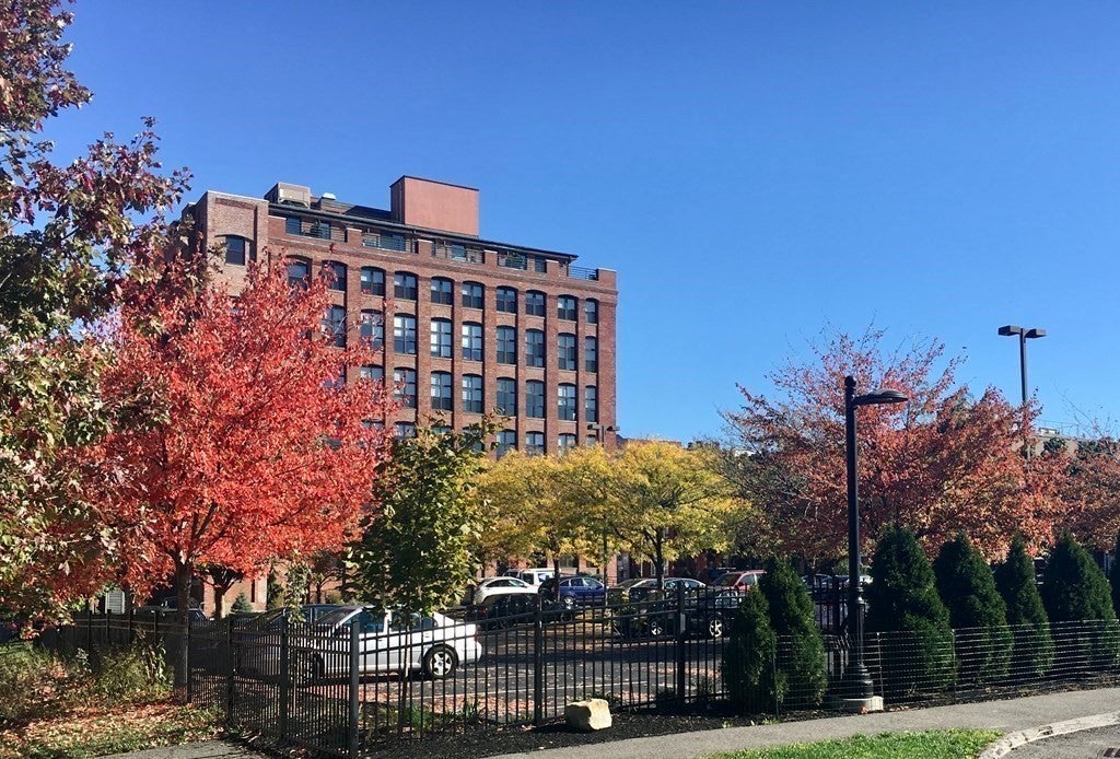 150 Orleans Street #305, Boston, MA, 150 Orleans Street #305, Boston, MA Photo #1