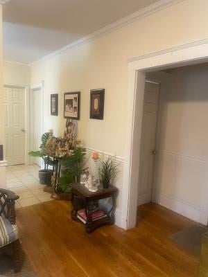 255 Neponset Valley Parkway, Boston, MA, 255 Neponset Valley Parkway, Boston, MA Photo #12