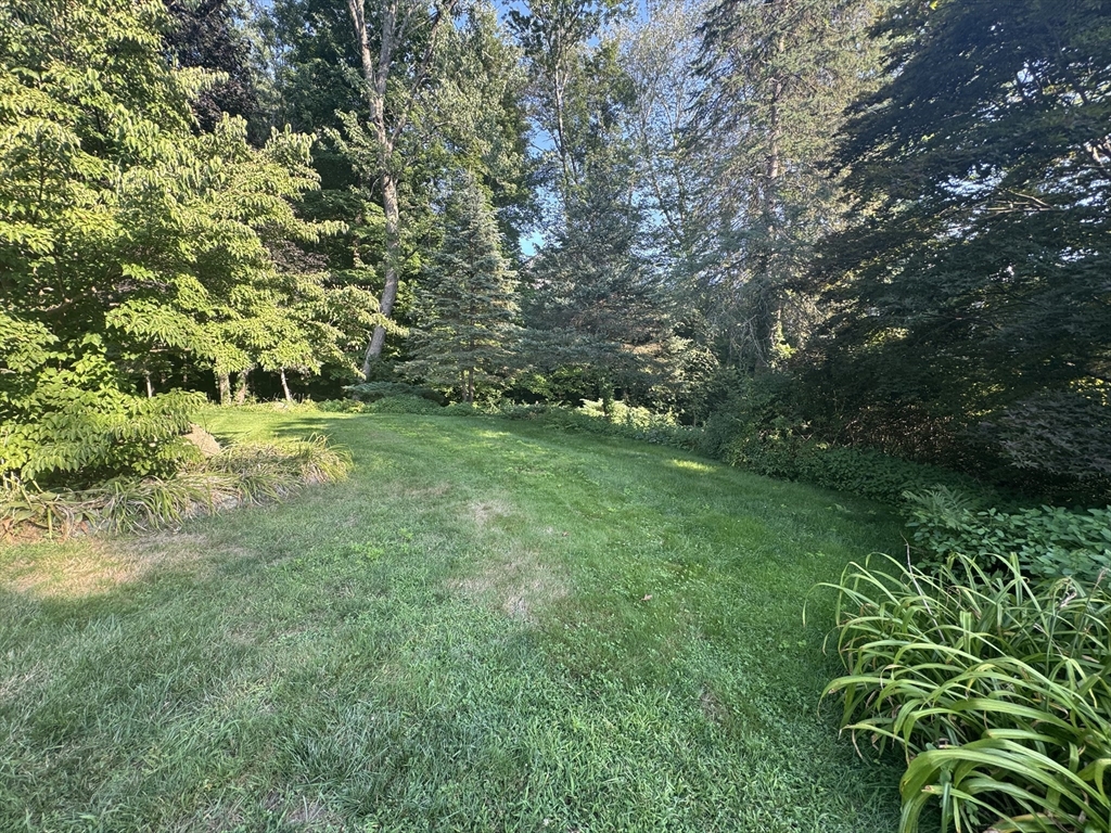 6 Ambler Court