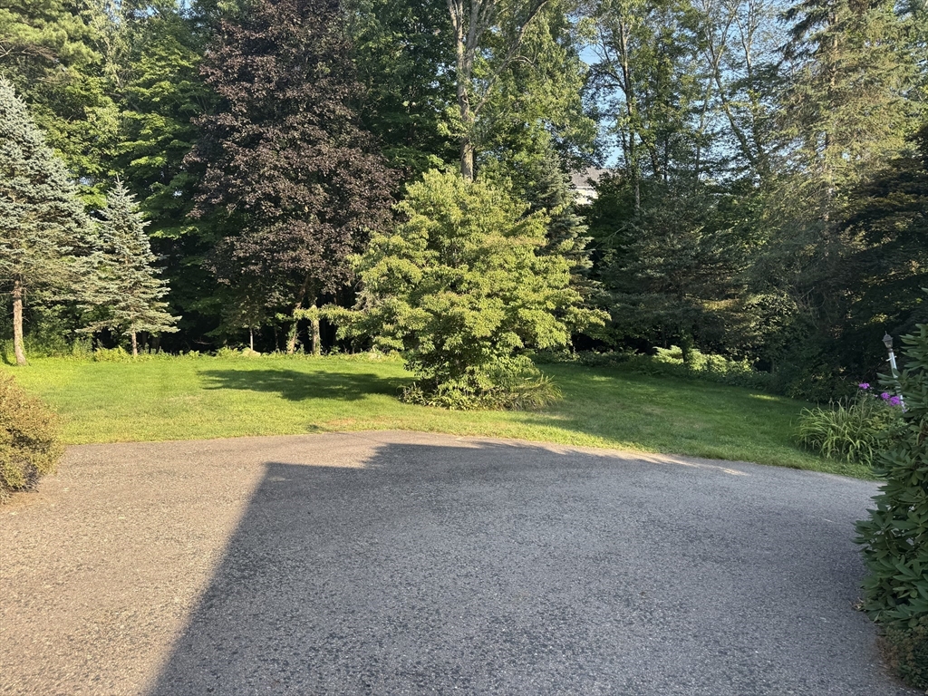 6 Ambler Court