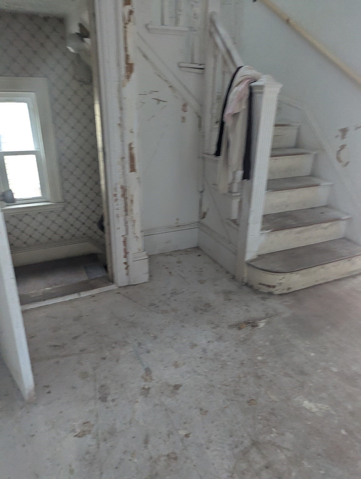 21 Mclellan Street, Boston, MA, 21 Mclellan Street, Boston, MA Photo #17