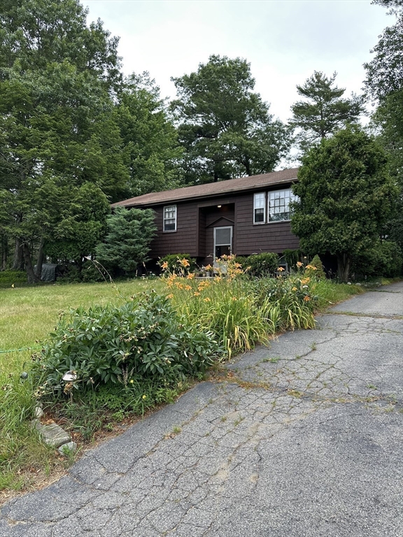 41 Steven St