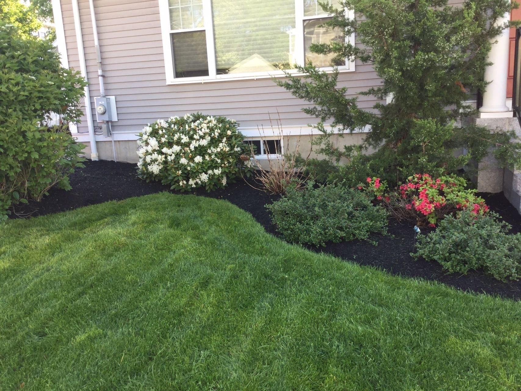 3 Oakley Rd #3, Watertown, MA, 3 Oakley Rd #3, Watertown, MA Photo #14
