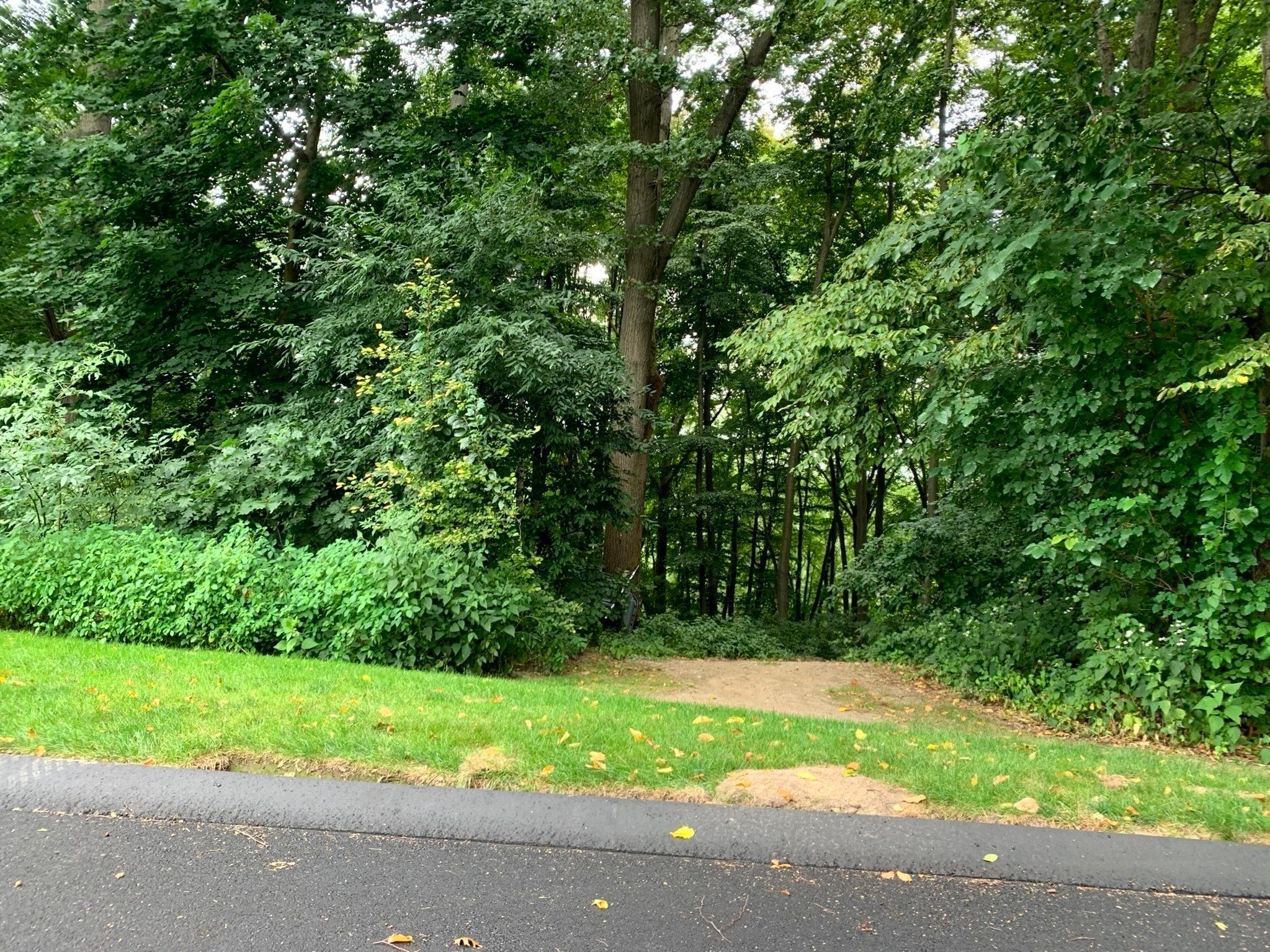 283 Fuller Rd #T, Chicopee, MA Photo #17